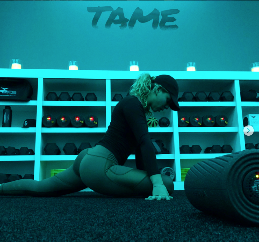 tame-2.png